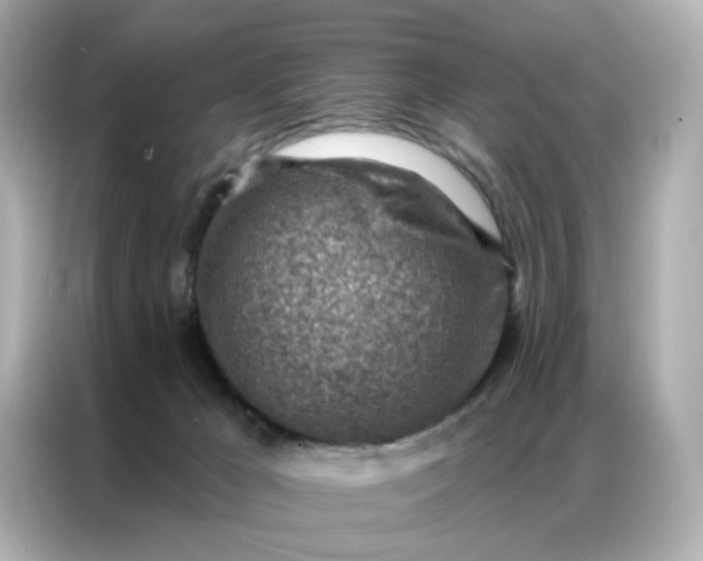 X0000086930029200704301126