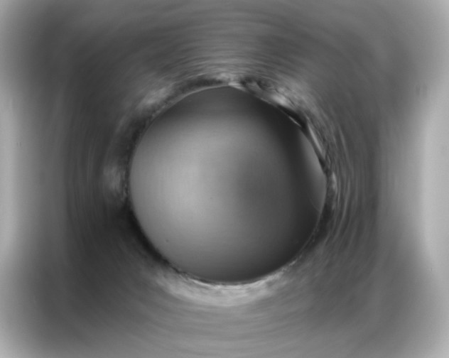 X0000086930031200704301126