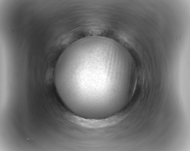 X0000086930034200704301126