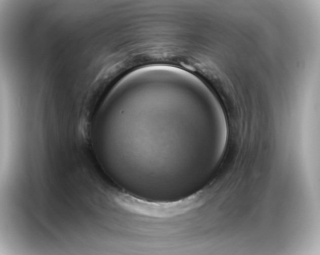 X0000086930035200704301126