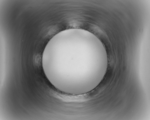 X0000086930036200704301126