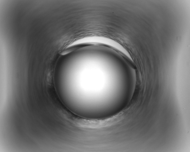 X0000086930037200704301126