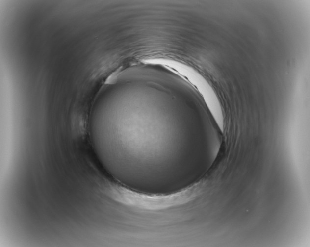 X0000086930039200704301126