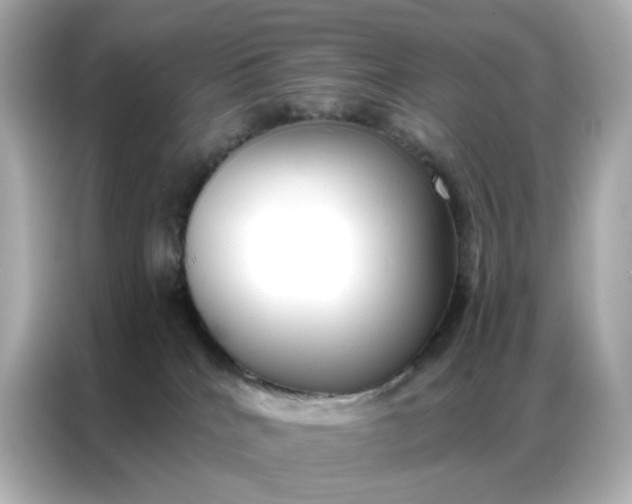 X0000086930040200704301126