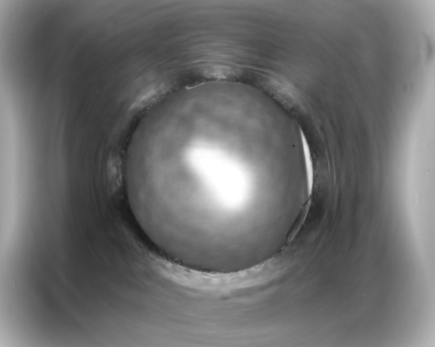 X0000086930043200704301126