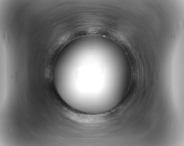 X0000086930044200704301126