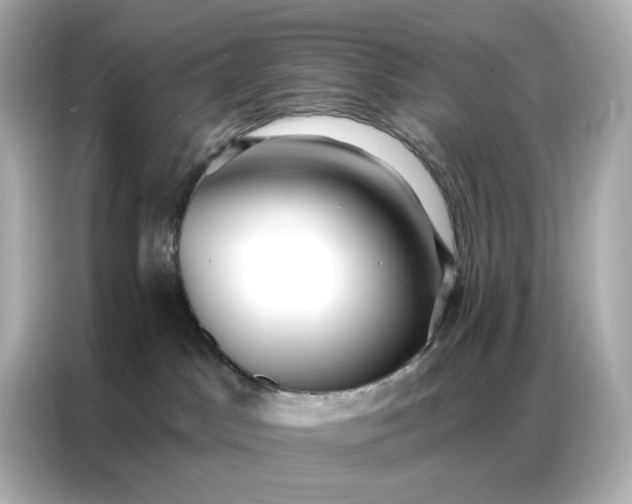 X0000086930045200704301126