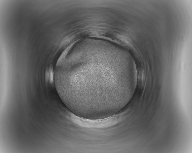 X0000086930046200704301126