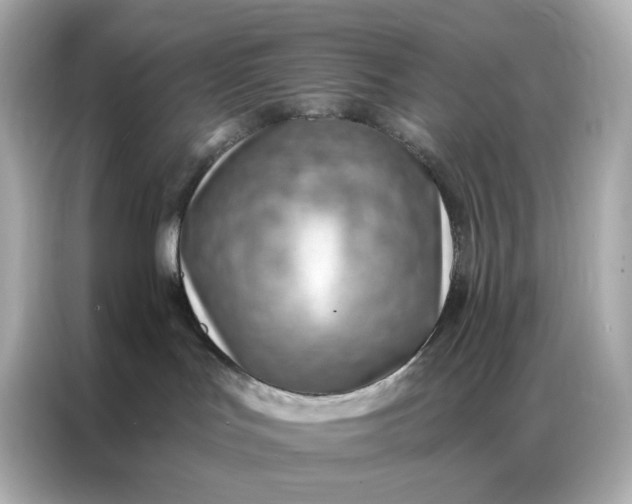 X0000086930047200704301126