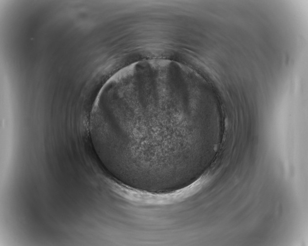 X0000086930048200704301126