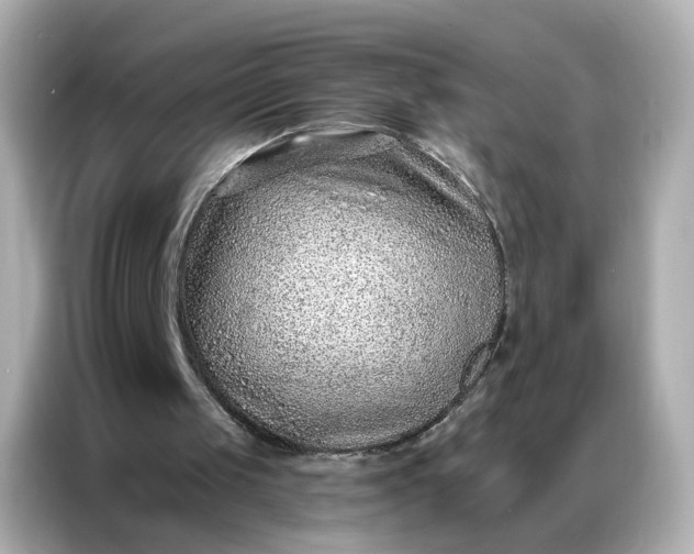 X0000086930049200704301125