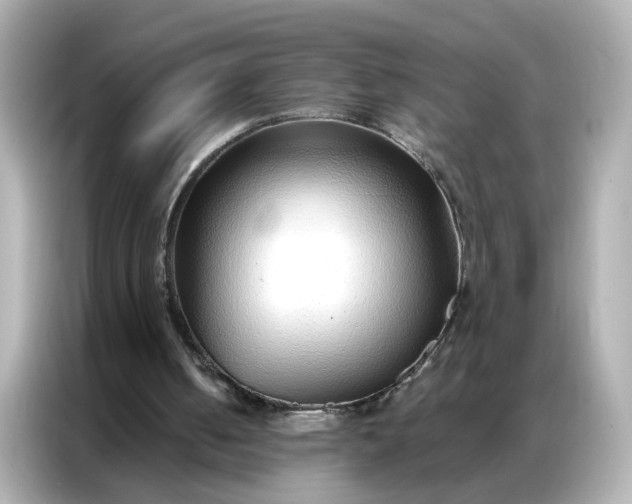 X0000086930050200704301125