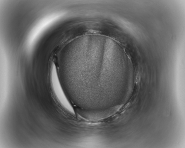 X0000086930052200704301125