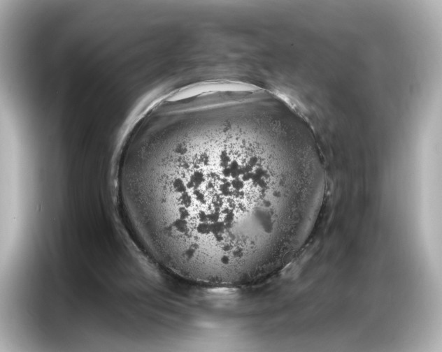 X0000086930053200704301125