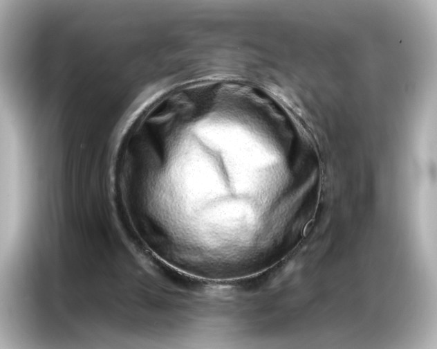 X0000086930055200704301125