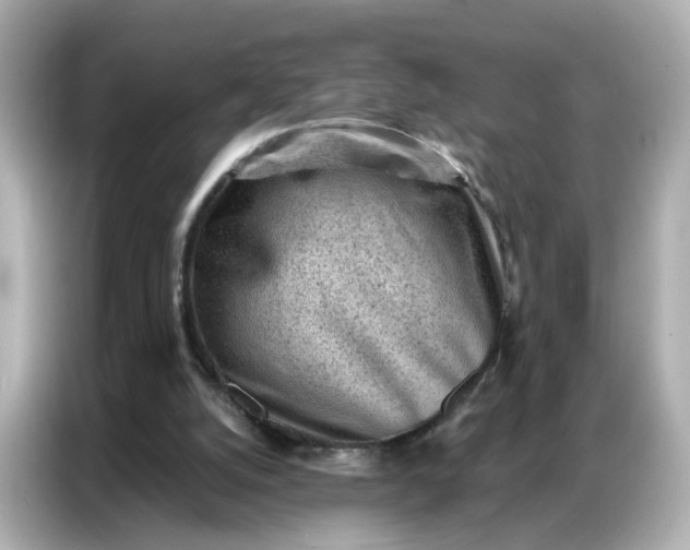 X0000086930056200704301125