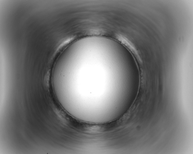 X0000086930058200704301125