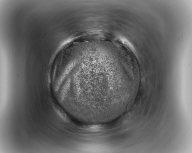 X0000086930059200704301125