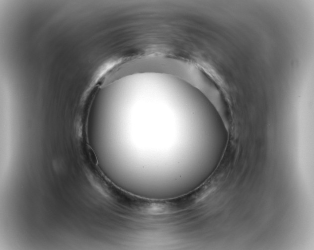 X0000086930060200704301125