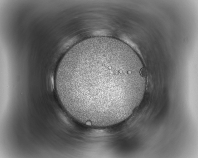 X0000086930061200704301125