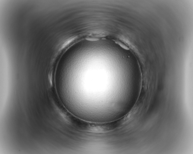 X0000086930062200704301125