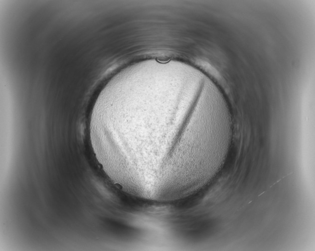 X0000086930063200704301125