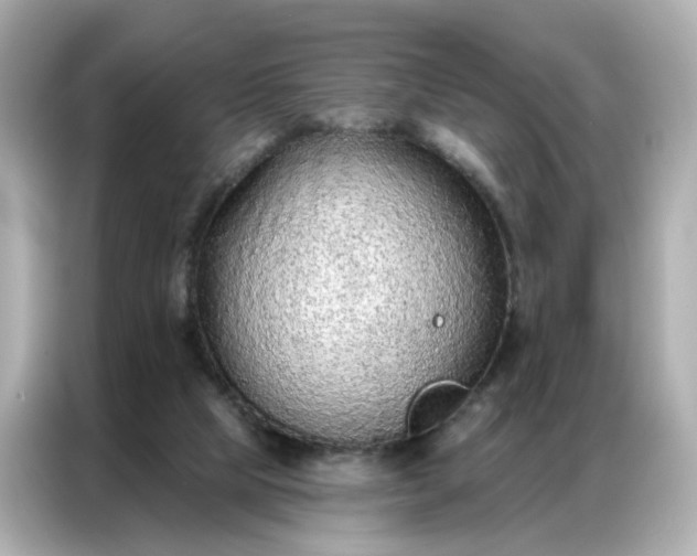 X0000086930065200704301125