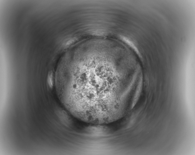 X0000086930069200704301125