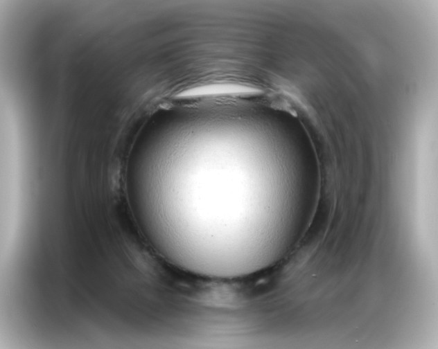 X0000086930073200704301125