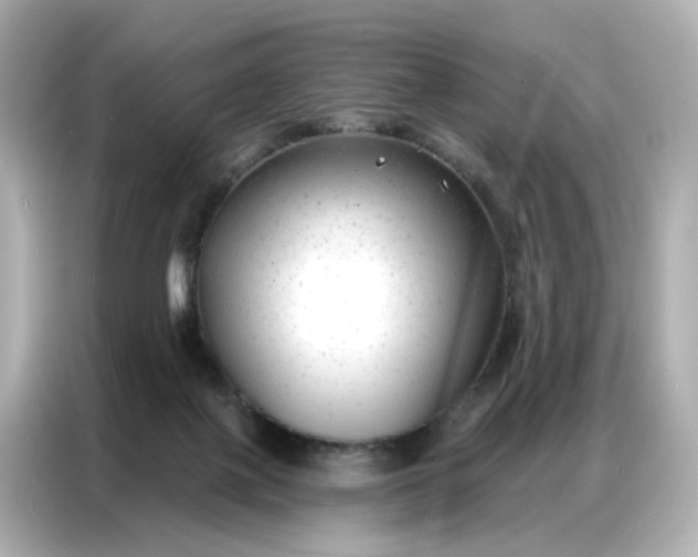 X0000086930075200704301125