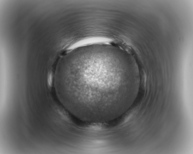 X0000086930076200704301125