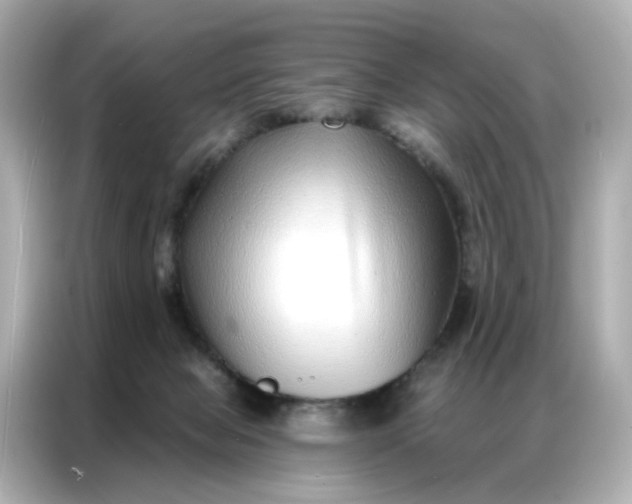 X0000086930077200704301125