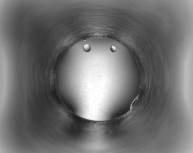 X0000086930078200704301125