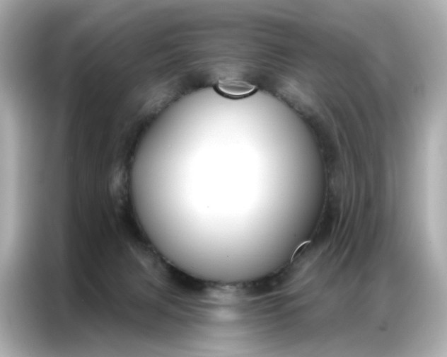 X0000086930079200704301125