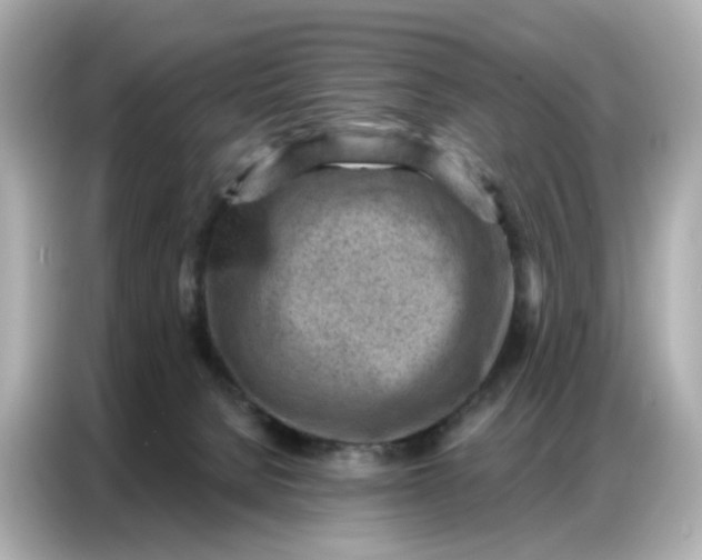 X0000086930080200704301125