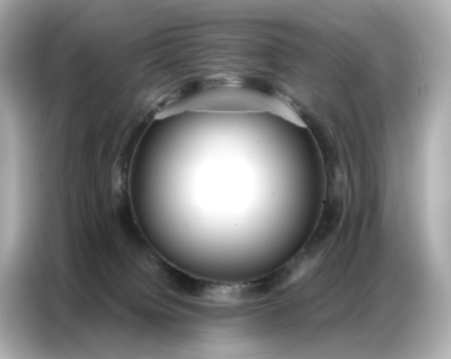 X0000086930084200704301126