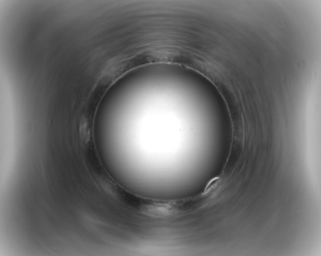 X0000086930086200704301126