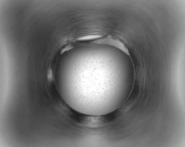 X0000086930089200704301126