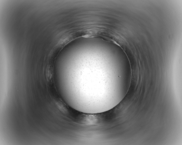 X0000086930091200704301126