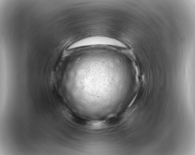 X0000086930093200704301126