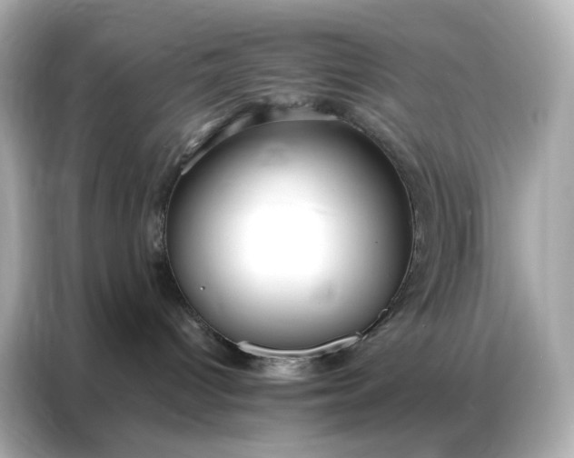 X0000086930096200704301126