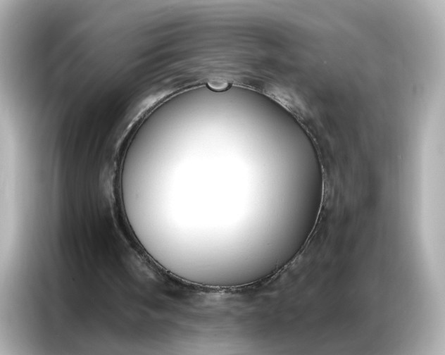 X0000086930098200704301125