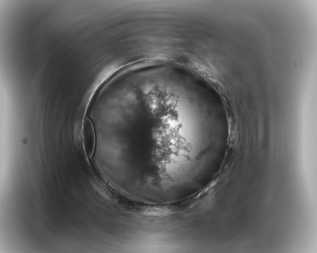 X0000086930099200704301125