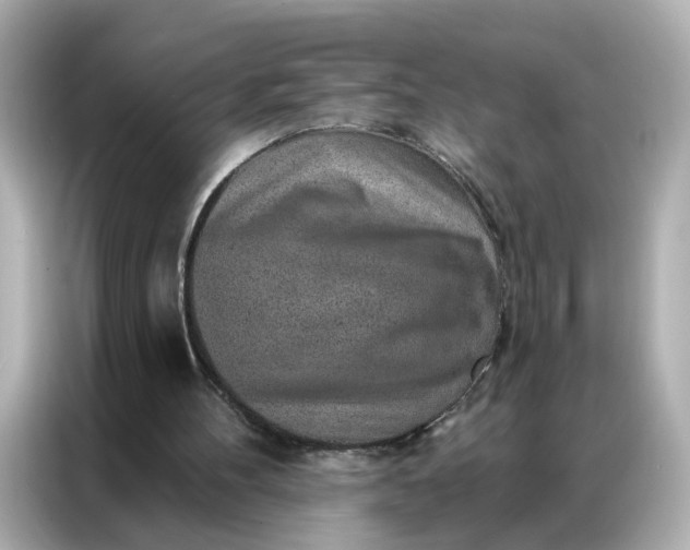 X0000086930100200704301125