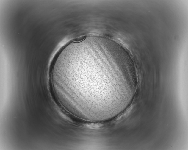 X0000086930102200704301125