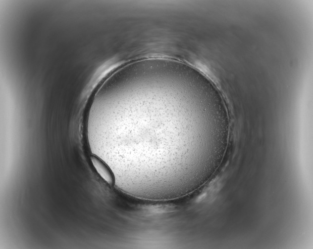 X0000086930103200704301125