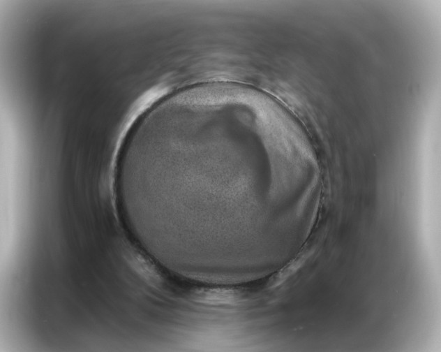 X0000086930104200704301125