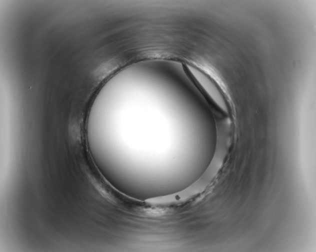 X0000086930105200704301125