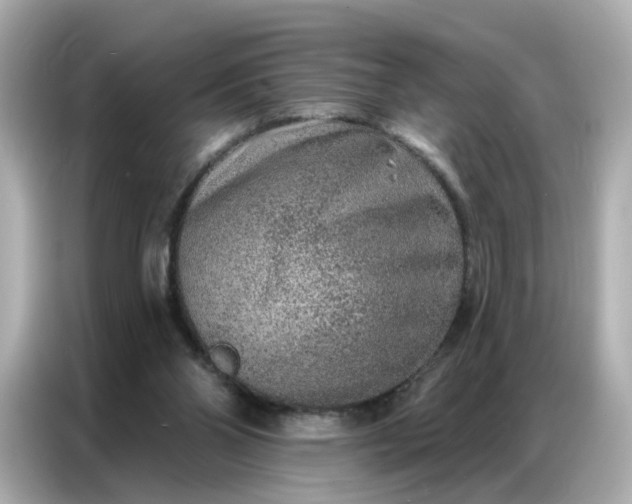 X0000086930110200704301125