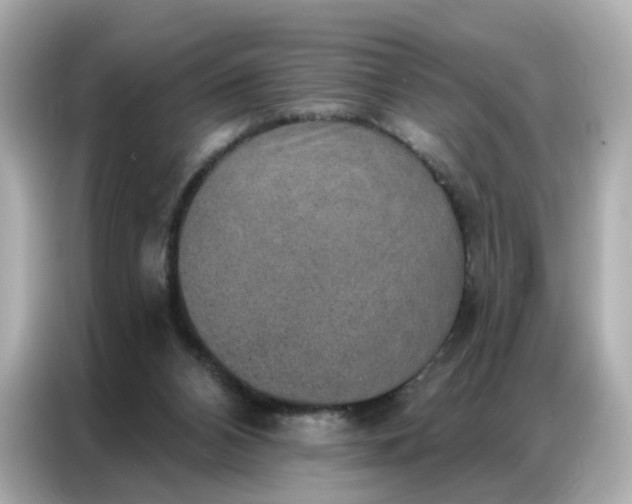 X0000086930112200704301125